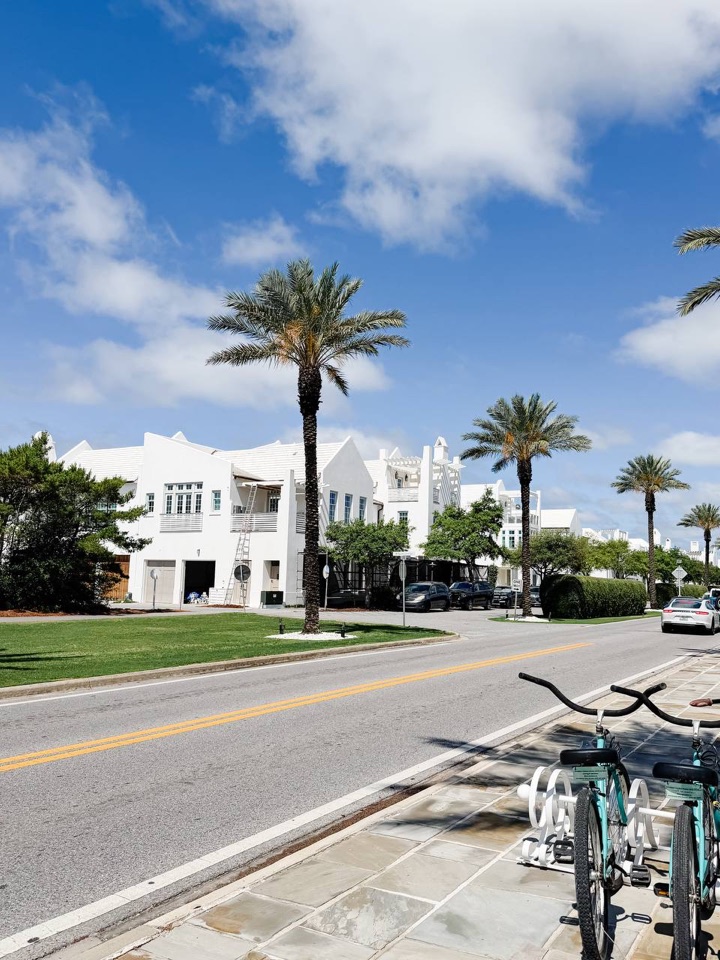 Bicycles parked beside palms in Seacrest Beach