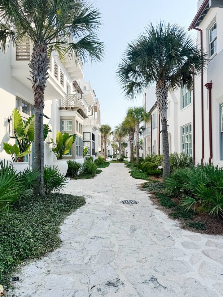 Palm-lined stone lane between white coastal homes